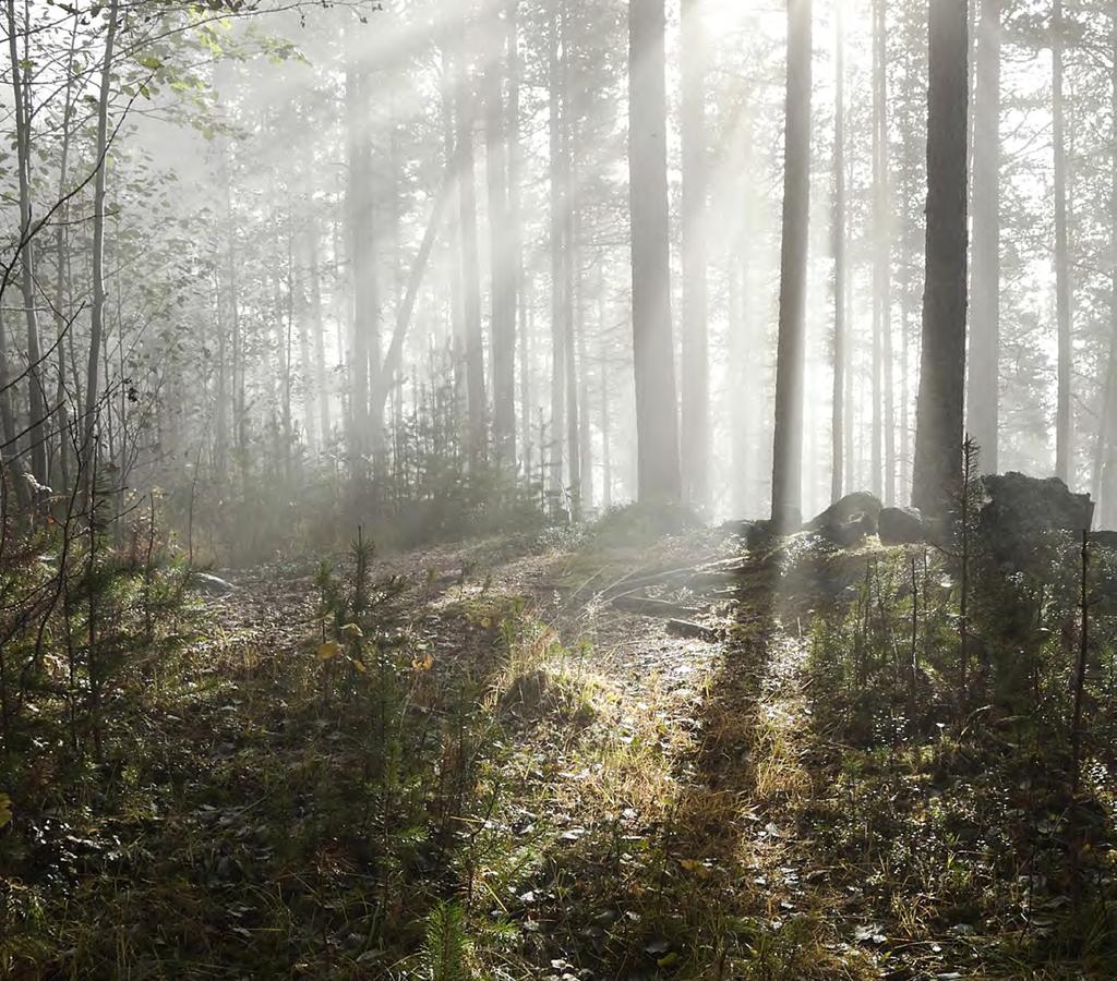 Miljö Förekomsten av ämnen i miljön som har skapats i eller utvunnits av samhället ska inte hota människors hälsa eller den biologiska mångfalden.