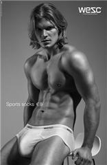(3) Swedish