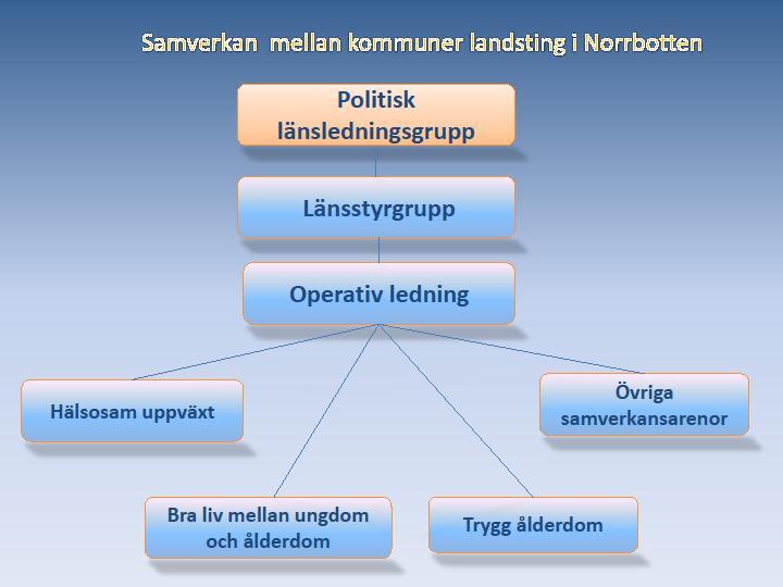 Samtliga utvecklingsområden har i dag styrgrupper och en chefsgrupp bestående av bland andra förvaltningschefer, socialchefer och äldreomsorgschefer från länets samtliga kommuner, hälso- och
