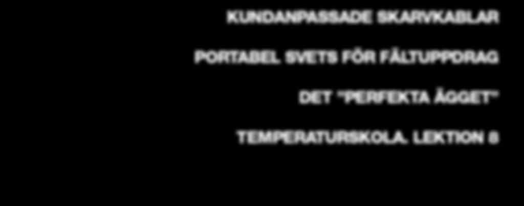FORTSÄTTNING PÅ SIDORNA 2-3