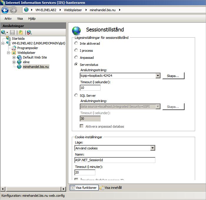 Vi rekommenderar att sessionsinformationen hanteras i en State Server, eller i en SQL-databas. Detta för att sessionsinformationen ska behållas om arbetsprocessen startas om av IIS.