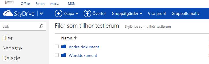 10 (11) Ändra gruppalternativ För att göra din grupp mer personlig och även se över vilka som ska komma åt gruppen väljer du Gruppalternativ.