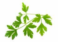 Produkterna är utvecklade i samarbete med nutritionsexperter på Igelösa forskningsgård utanför Lund. Felix Smart Mat är framtidens mat. Lika genomtänkt som efterfrågad och god.