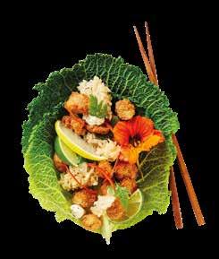 Vegetarisk mat från Orkla Foods Sverige Orkla Foods Sverige erbjuder ett brett sortiment av vegetariska produkter för Foodservicemarknaden; allt från veganska till vegetariska till