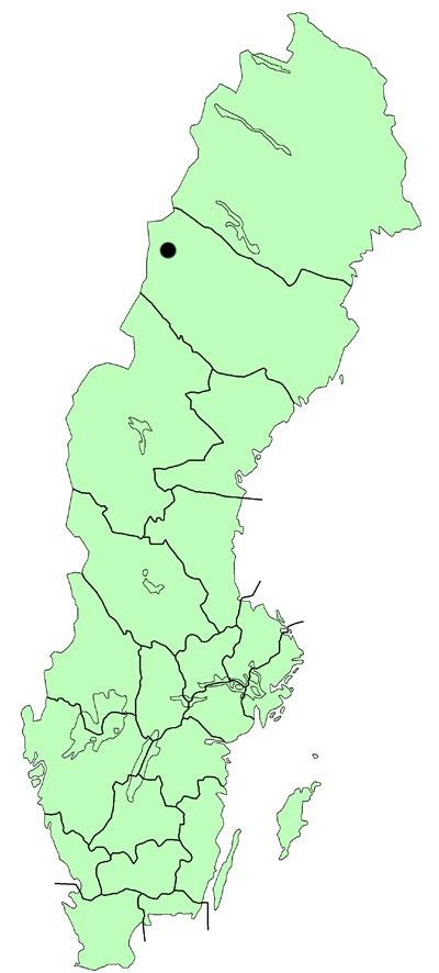 Tärnabyområdet med de omnämnda serpentinlokalerna inringade. Norra området från väster till öster Guorte, Atoklimpen och SV om Mosekälla.