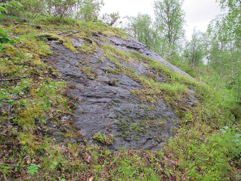 Typiskt utseende på serpentinhällar: Tärnaby, SV om Mose källa. Foto: Hans Gardfjell av de kända serpentinförekomsterna från Handöl i Jämtland till norra Padjelanta.