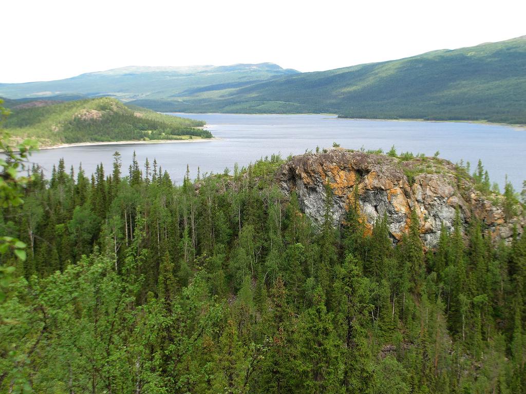 Den norra av Geavmoeaesie serpentinkullar, med de för serpentin typiska färgerna. Foto: Hans Gardfjell om Vinberget.
