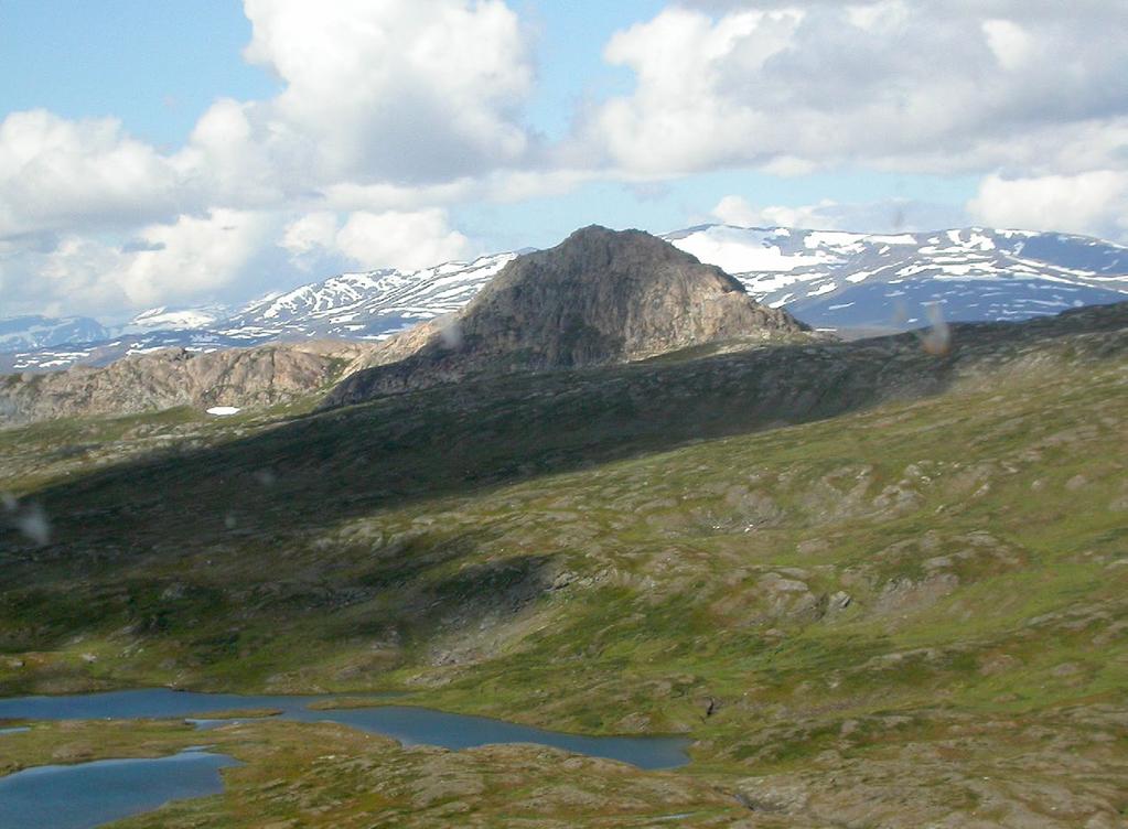 Ovan: Atoklimpen från söder. Foto: Hans Gardfjell Vänster: Atoklimpens västkant, lokalen för nordsaltgräs Puccinella nutkaënsis.
