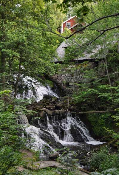 22 GUIDNINGAR I NATUREN 2018