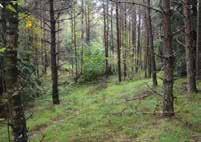 Längs E6 på sträckan mellan Mölndal och Kungsbacka Norra, visar studier att barriäreffekterna för f aunan är stora.