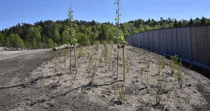 Figur 28 Plantering av buskar