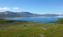 PLATS: Naturcentrum Kartor och geografisk information i naturvårdens tjänst Måndag 19 februari kl. 18.