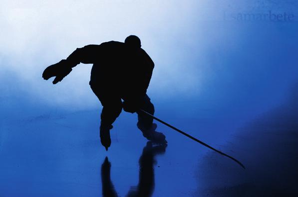 Digital marknadsföring Nu kan du som företagare skapa associationsbyggande aktiviteter tillsammans med Brynäs IF i våra starka digitala kanaler.