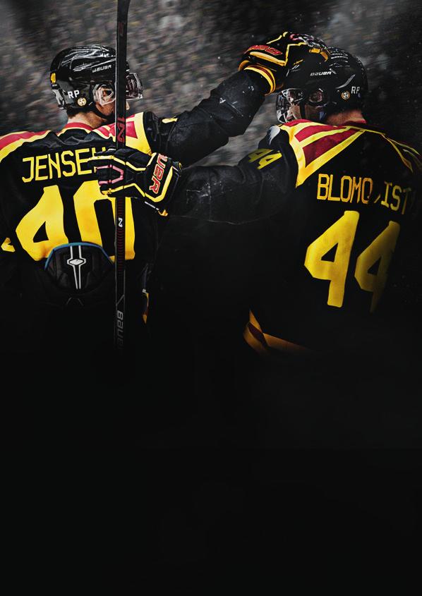 Partnernivåer Brynäs IF har fyra partnernivåer, Huvudpartner, Officiell partner, Silverpartner,