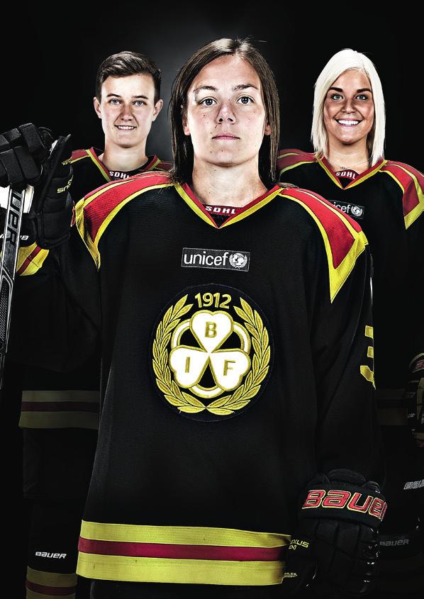 Var med och vidareutveckla Brynäs damsatsning och