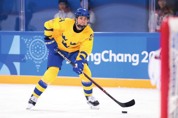 Nu kan ditt företag bli Brynäs Dam+ partner och sponsor till Brynäs dam satsning och flickhockey - verksamhet.