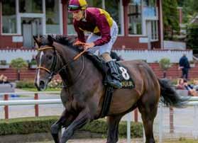 Our Last Summer (IRE) Zamindar Hoh My Darling/Dansili Tränare: Niels Petersen Jockey: Rafael Schistl Official Rating: 108.