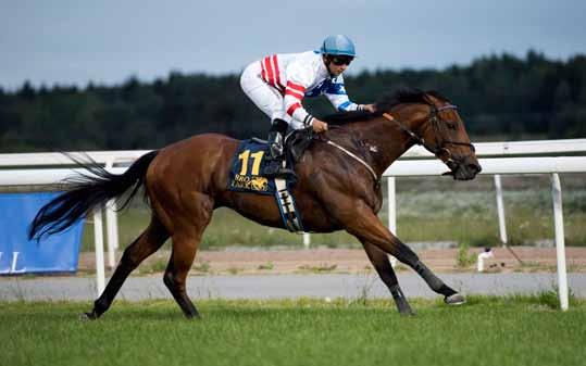 Fortsättning från föregående sida, Bro Park Sprint Championship (L) 9 Never Back Down är en treåring som tränas av Hugo Palmer i England stallet är i toppform.