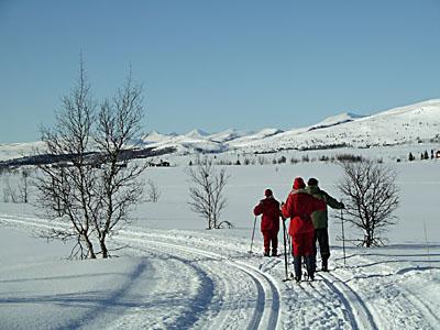 Nordfjordexpressen tillbaka till Gardermoen och vidare till Arlanda. Sammanfattningsvis hade vi en fin vecka (8 dagar) med mycket bra väder. Vindsäckarna kom aldrig till användning.