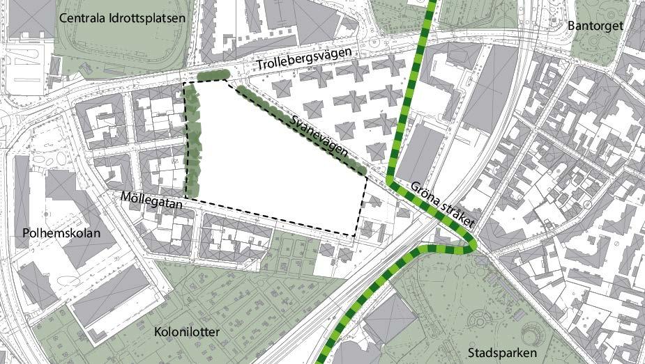 Serviceförvaltningen 21(49) Den västra trädridån och gatuträden längs