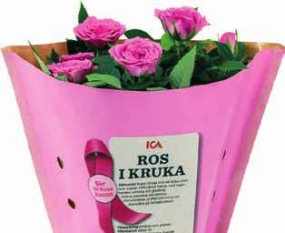 Förra året blev det hela 889 546 kr.