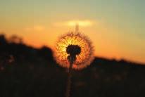 Solenergi Pris 400:-