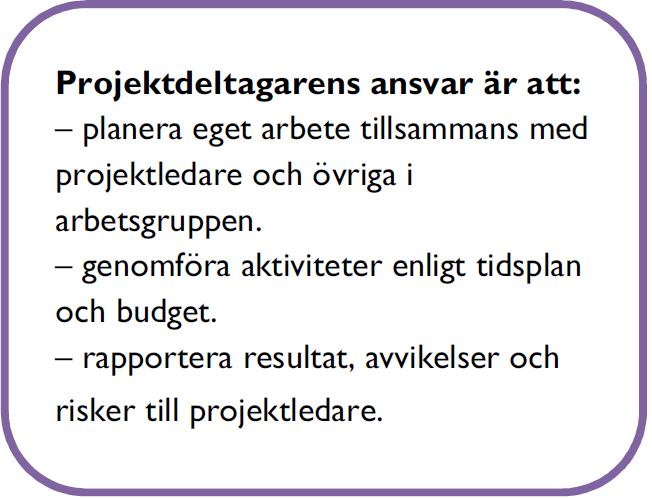 10 PROJEKTDELTAGARE Projektdeltagaren är de som, under ledning av projektledaren, utför arbetet i projektet. Deras ansvar är att utföra uppgifter och aktiviteter enligt projektets tidsplan och budget.