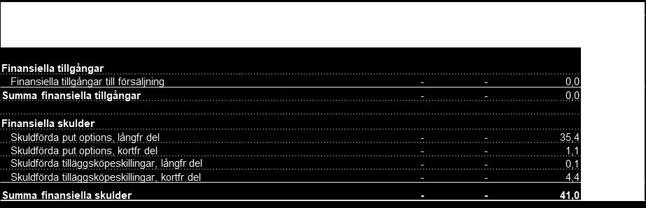 indata som inte är observerbara på marknaden Skulden för put options samt ev.