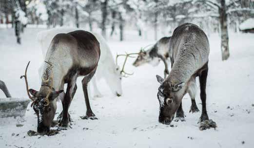 Gästerna får äta sina mål på miljövänliga