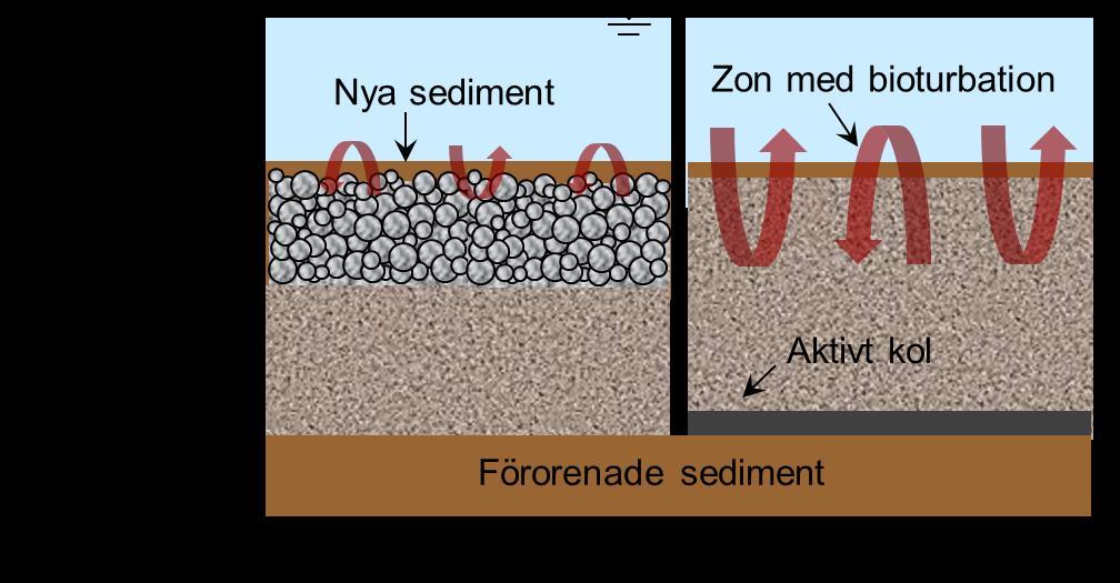 Lermineral med fyllosilikater: Lermineral är mer finkornigt och har lägre permeabilitet än sand. Vissa lermineral har stor kapacitet att binda metaller men bindningsförmågan är ofta ph-beroende.