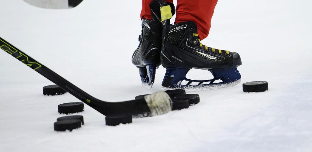 TESTA ISHOCKEY - HERTSÖRINKENS IF HERTSÖRINKENS IF Norrbotten PROJEKTBESKRIVNING Division tre laget Hertsörinken IF startade hösten 2016 tillsammans med Luleå gymnasieskola, ungdomsboendet i Luleå,