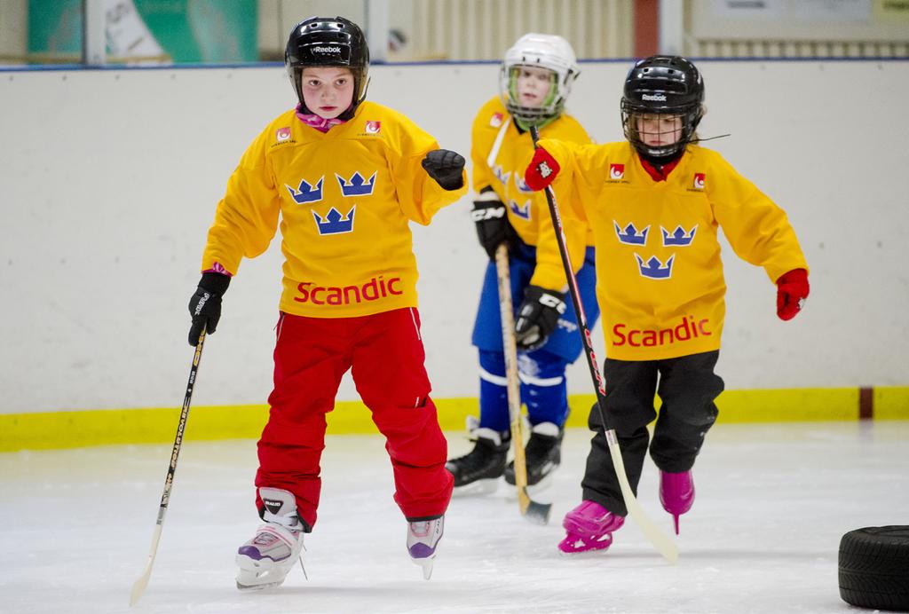 IDROTT ÄR GLÄDJE - SUNDBYBERGS IK SVENSKA BARNIDROTTSPRISET Sundbybergs IK Hockey nomineras till Svenska Barnidrottspriset 2017 för sitt värdegrundsarbete där man sätter barnet i fokus.