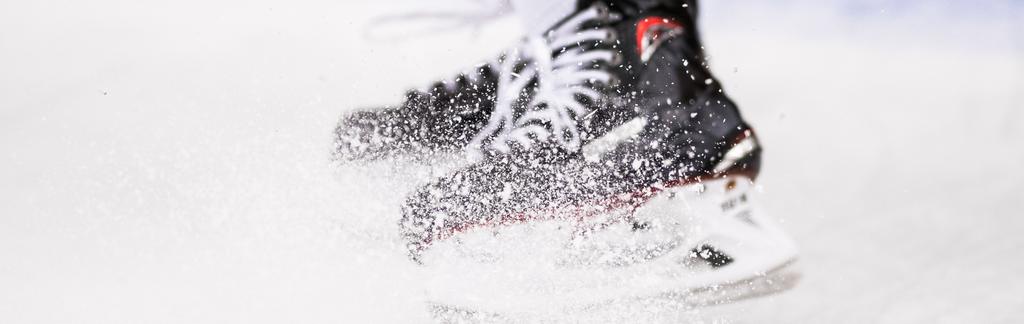 VIK FÖR ALLA - VÄSTERVIKS IK VÄSTERVIKS IK Södermanland PROJEKTBESKRIVNING VIK för alla. Ett projekt för att öppna dörrarna till ishockeyns värld i Västerviks kommun med omnejd.