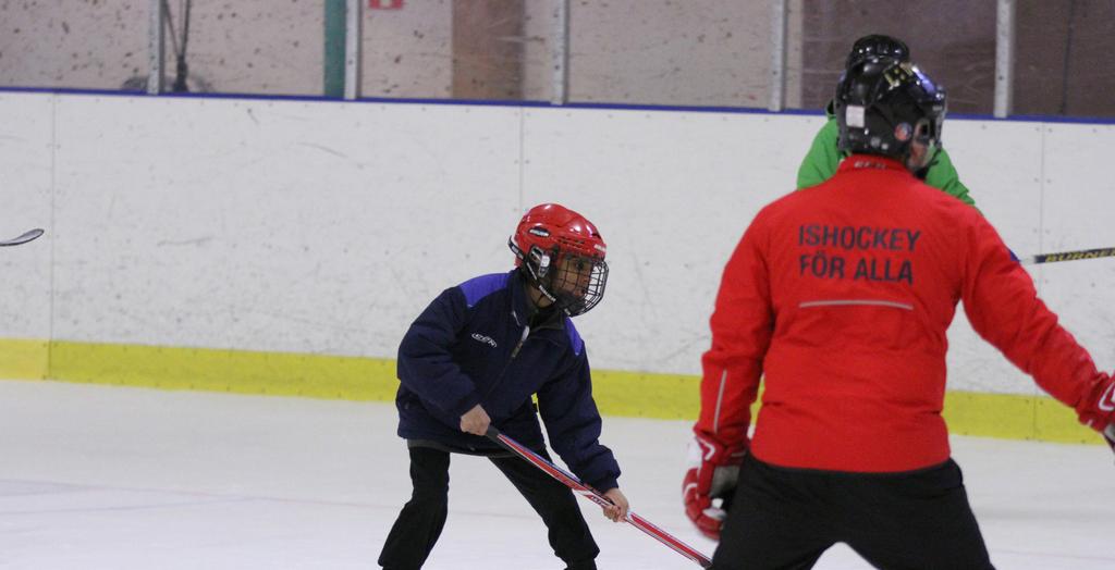 ISHOCKEY FÖR ALLA - DJURGÅRDENS IF DJURGÅRDENS IF Stockholm PROJEKTBESKRIVNING Djurgården Hockey och Stockholms Stad startade tillsammans projektet "Ishockey för alla" i Husby, Kista och Akalla.