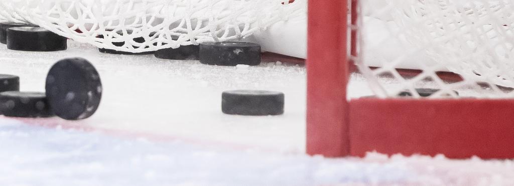 ÖAR UTAN GRÄNSER - EKERÖ IK ENGAGERAD PERSONAL Under första prova-på tillfället mottogs de av ledare från ungdomssidan och juniorspelare som var med och hjälpte utövarna både på och utanför isen.