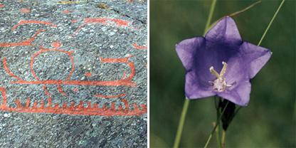 Hur historia används och historiska begrepp Exempel på hur forntiden kan avläsas i våra dagar genom traditioner, namn, språkliga uttryck, byggnader, städer och gränser Matematik: Geometri