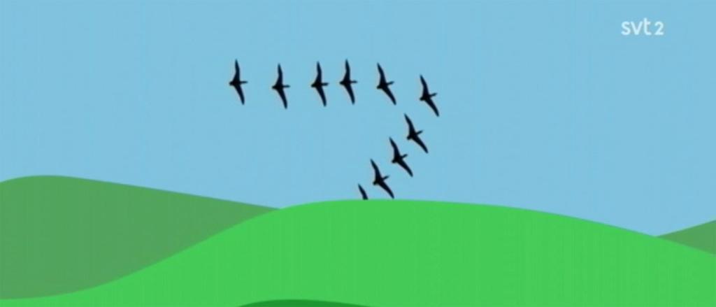 Vårt sorgebarn SR/SVT vet inga gränser för hur de skall bära sig åt för att skrämmas med klimatet.