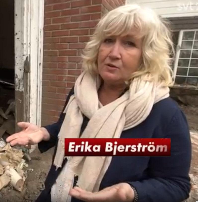 någon med sådan kompetens. Jens Ergon gjorde ett reportage om solkraft där han visade upp sin gedigna okunnighet i ämnet energi, ekonomi och jordens resurser, figur 2.