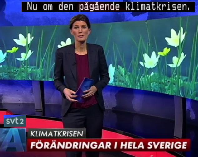Andra exempel Följande yttrande belyser situationen. http://www.klimatupplysningen.