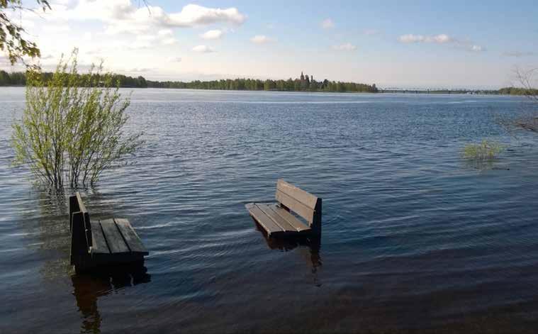 Figur: Översvämning i Torneälven år 2014 (Virve Sallisalmi) Visste du att Översvämningar delas in i tre olika typer: översvämningar i avrinningsområden, vid kustområden och dagvattenöversvämningar.