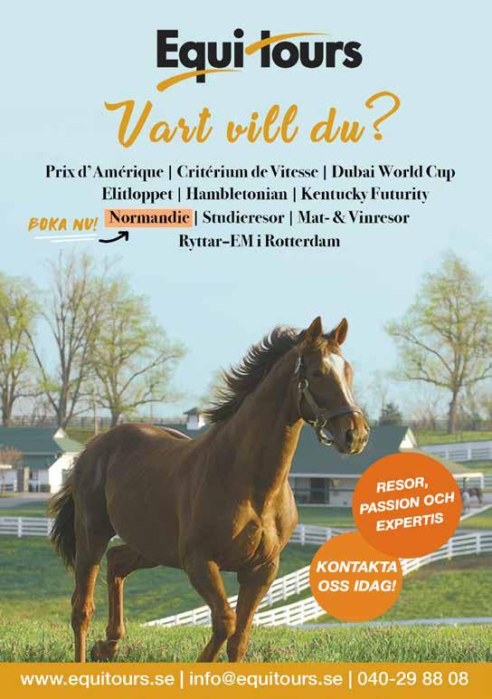 KVAL/PREMIE AVENA JET* (IT) 0 :,sv. s. e Maharajah - 8: 0 0-0-0 0 Ingrid di Jesolo e Pine Chip Uppf: Aziende Agricole Toniatti SSA, Italien Äg: Marcussen F & St.