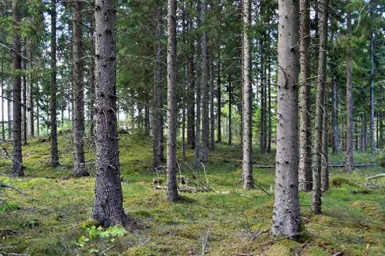 Försäljningssätt Fastigheten säljs genom skriftlig budgivning. Pris 2 300 000 kr eller högstbjudande.