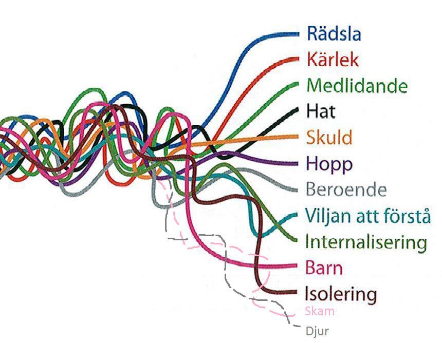 Det traumatiska bandet Källa: