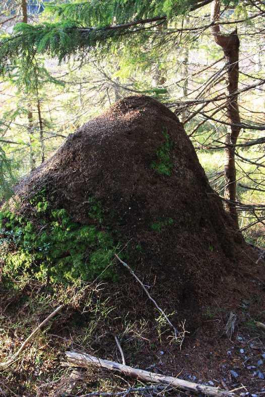 8/8 Bygga och bo Ett köpcentrum vid flygplatsen kommer inte att gynna den lokala handeln i Landvetter och de östra kommundelarna.