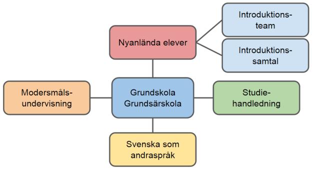Flerspråkighet i skolan Språkcentrum Mölndal ansvarar för att organisera modersmålsundervisning, studiehandledning på modersmål samt att samordna nätverket för lärare i svenska som andraspråk.