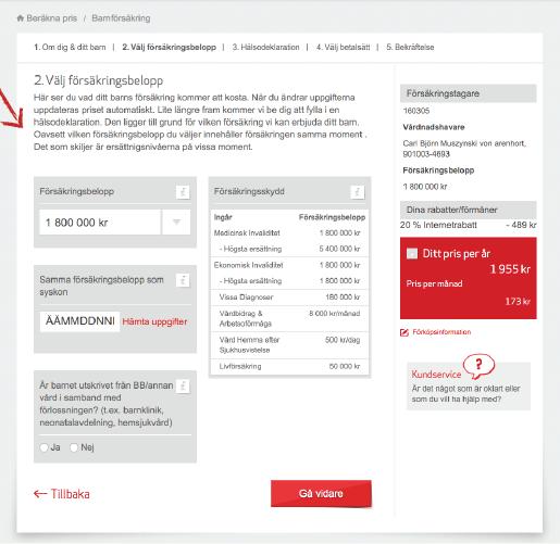 Problemområden Baserat på ett antal recordings och kompletterande användarstudie (Insikter från barnförsäkring) Lång
