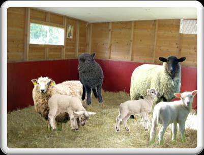 Lammleken När vi hade tema lärande om lammet och fåret använde jag inspelade klipp från en fårfarm i min lilla grupp, för två barn i 3- årsåldern. Sedan lekte vi får och lamm i "Puppet Pals".