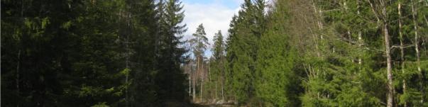 Gles bebyggelse finns på åkrarna eller vid åkerkanterna. Öster om planområdet finns Lovisa ådal, som bildar sitt eget landskapsrum. Ådalen består av en odlingsslätt kantad av bergs- och moränmarker.
