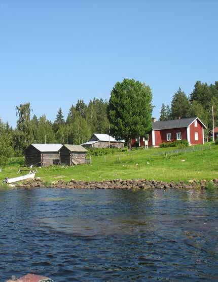 Landsbygden producerar förutom råvaror även andra ekosystemtjänster, såsom landskap, rekreation, upplevelser och naturens mångfald.