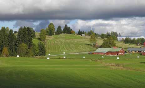 Bilder: Berglandskap i Ilomants (AH) Havsfarleden vid Ströömi (PH)